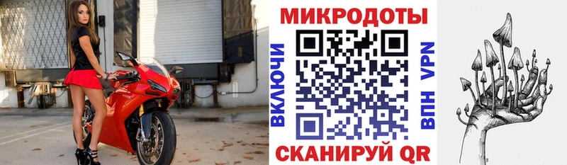 закладки  Анива  Псилоцибиновые грибы прущие грибы 